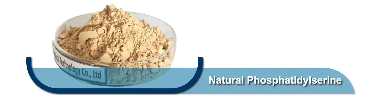 Natural Phosphatidylserine powder.jpg